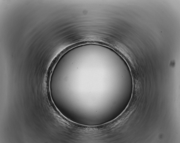 X0000099321068200805091036