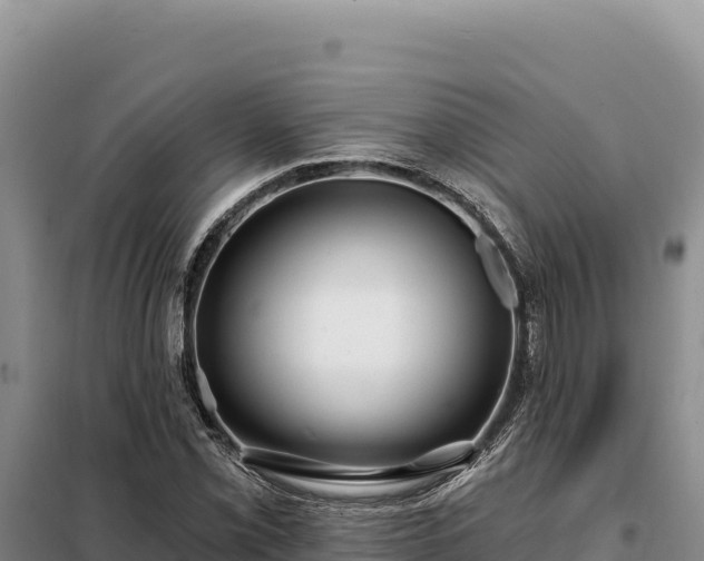 X0000099321069200805091036