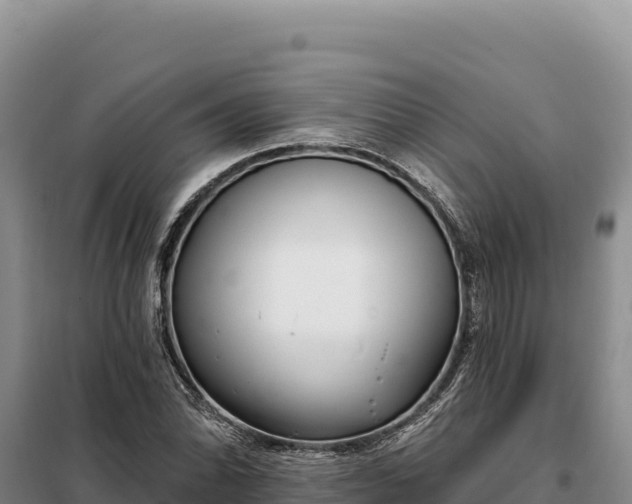 X0000099321070200805091036