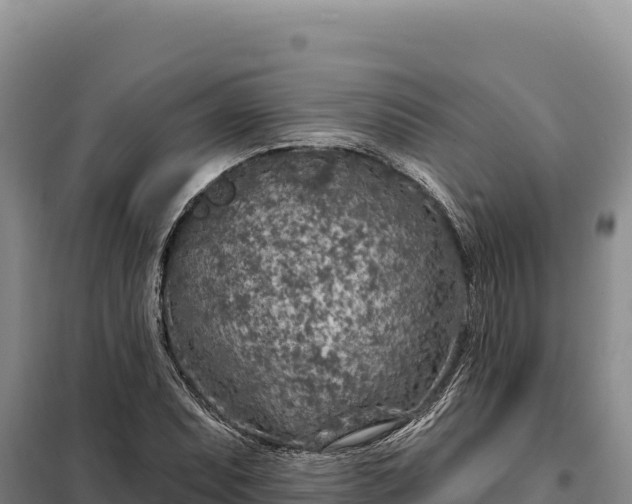 X0000099321071200805091036