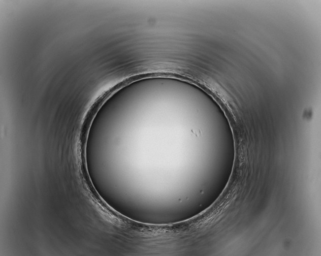 X0000099321072200805091036