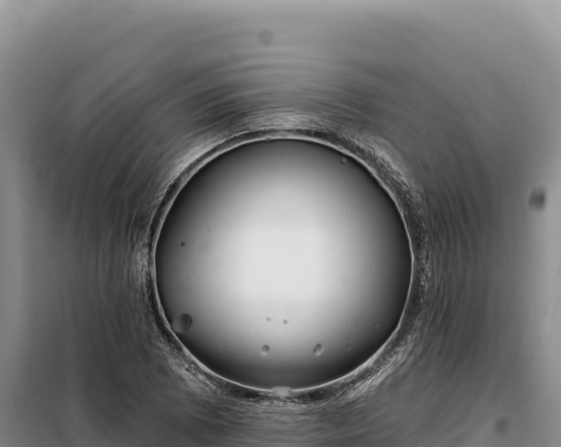 X0000099321073200805091036