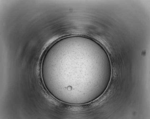 X0000099321074200805091036