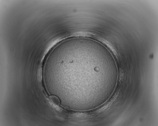 X0000099321075200805091036