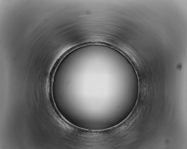 X0000099321076200805091036