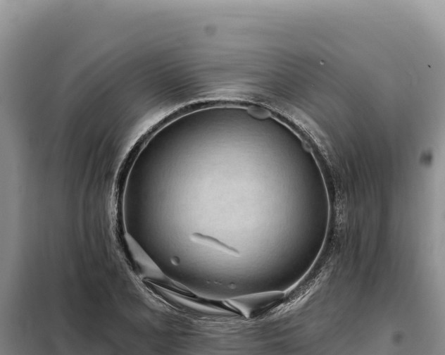 X0000099321077200805091036