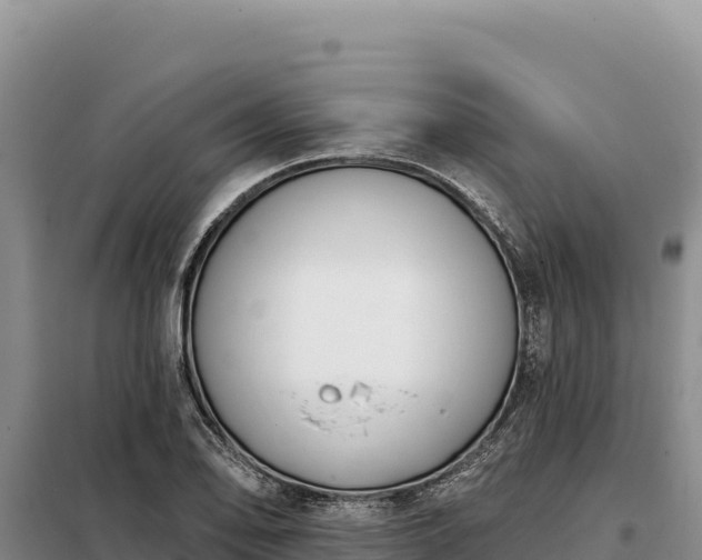 X0000099321078200805091036