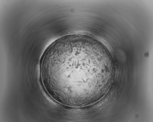 X0000099321079200805091036