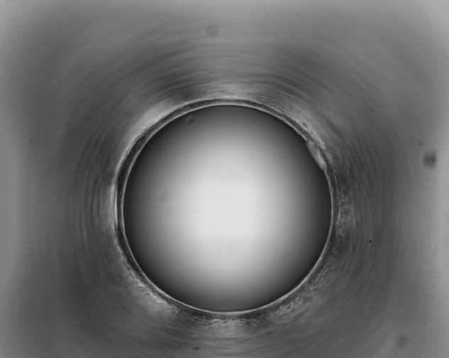 X0000099321080200805091036