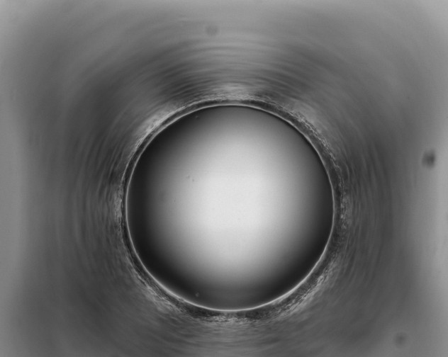 X0000099321081200805091036