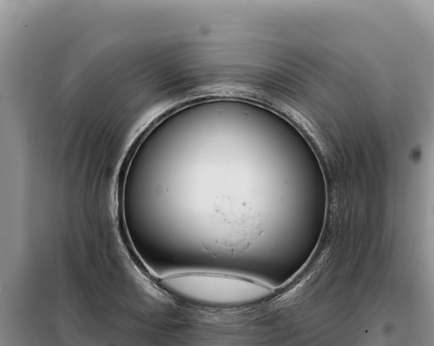 X0000099321082200805091036