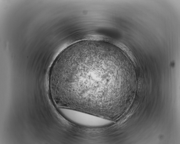 X0000099321083200805091036