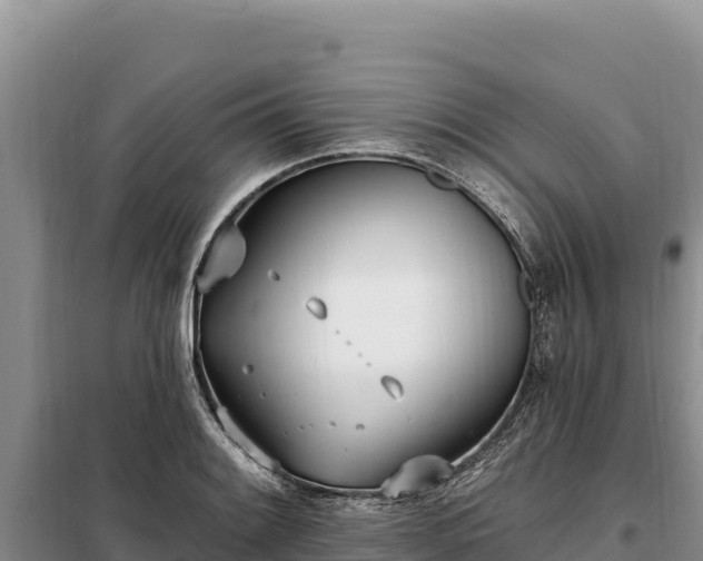 X0000099321084200805091036