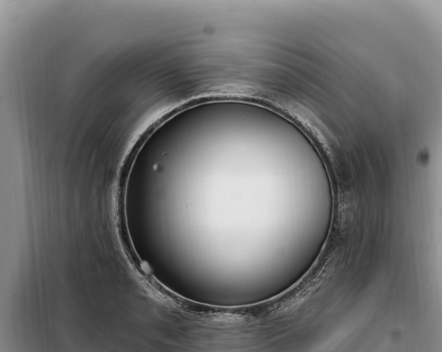 X0000099321085200805091036