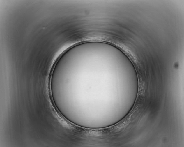 X0000099321086200805091036