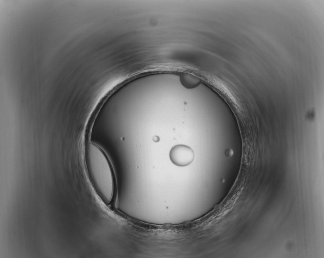 X0000099321087200805091036