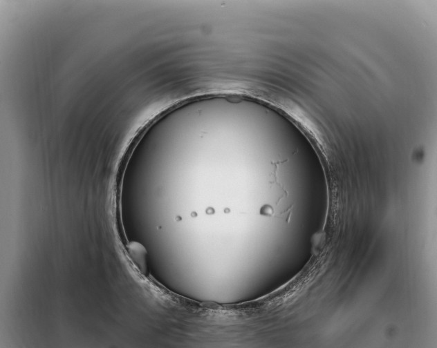 X0000099321088200805091036