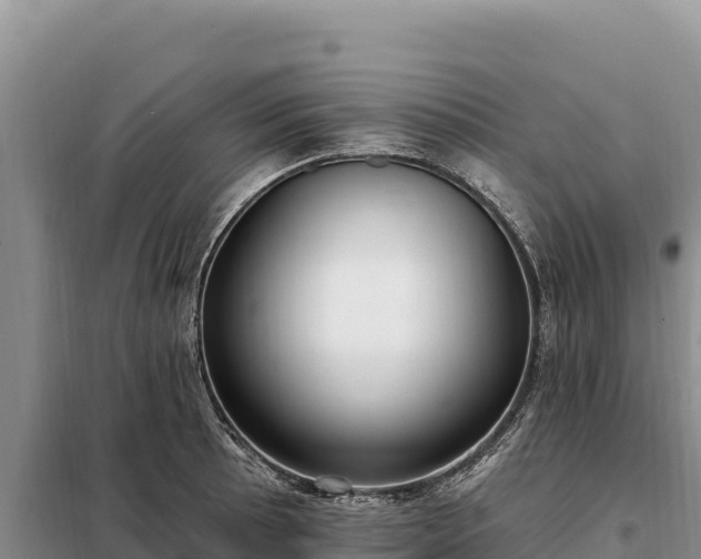 X0000099321089200805091036