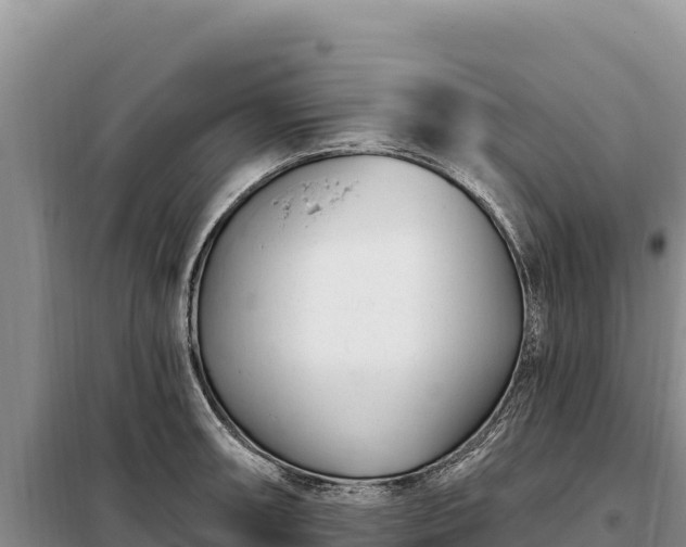 X0000099321090200805091036