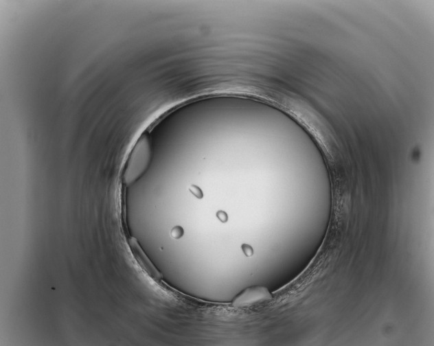 X0000099321092200805091036