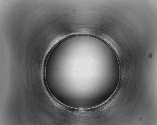 X0000099321093200805091036