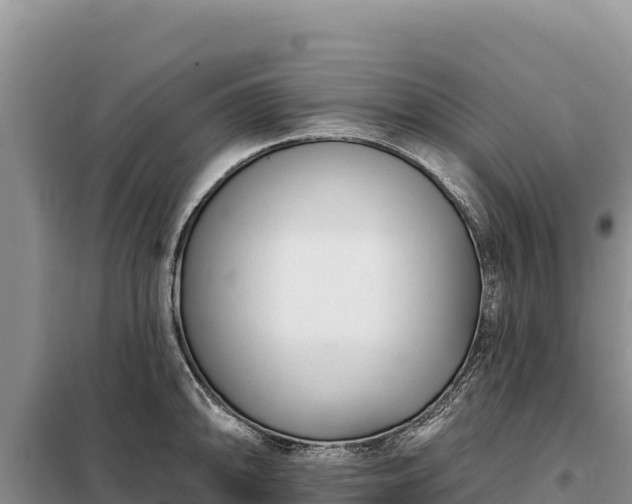 X0000099321094200805091036