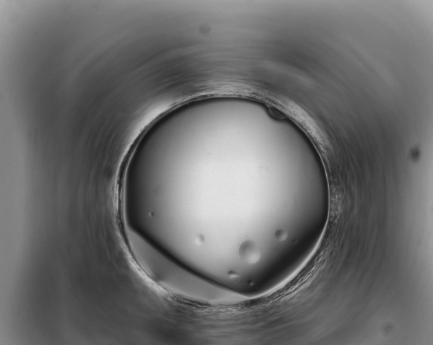 X0000099321095200805091036