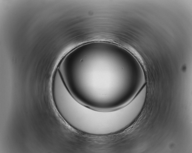 X0000099321096200805091036