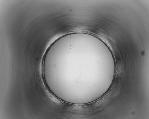 X0000099321098200805091036