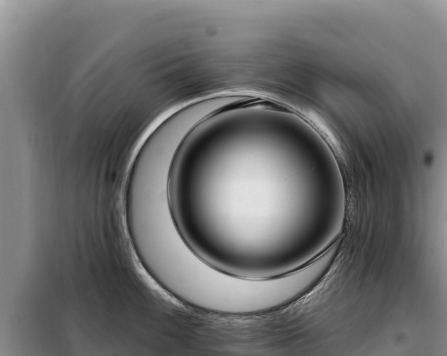 X0000099321100200805091036