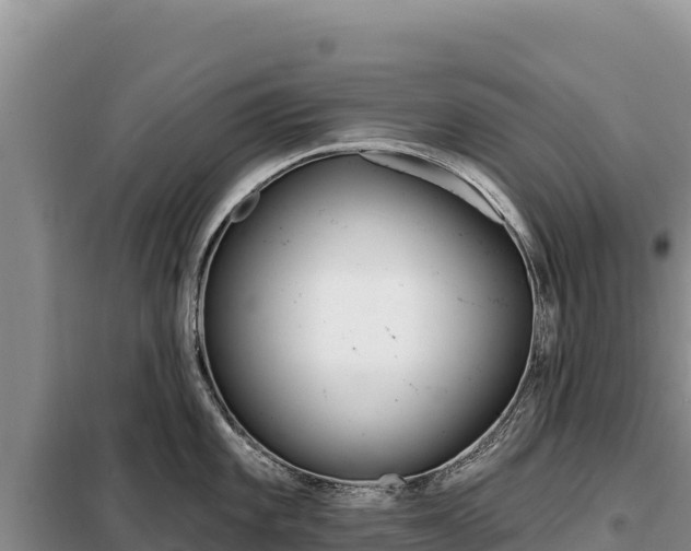 X0000099321101200805091036