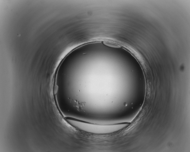 X0000099321102200805091036