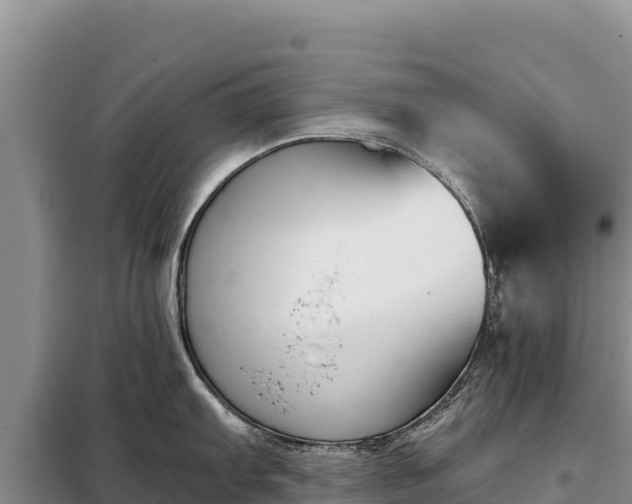 X0000099321103200805091036