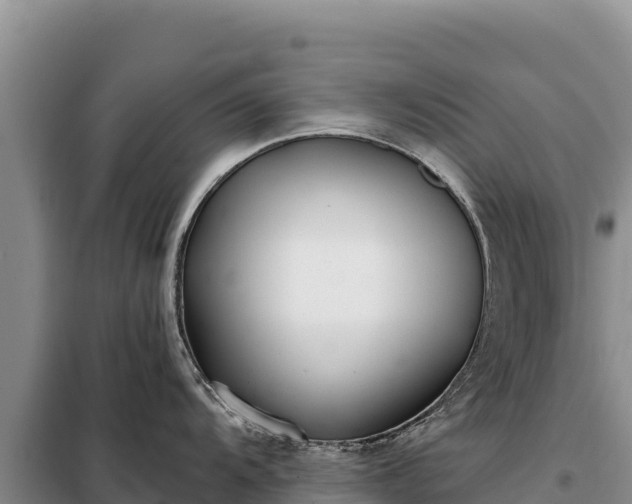 X0000099321104200805091036