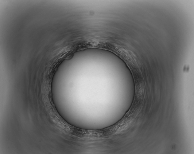 X0000099321105200805091035