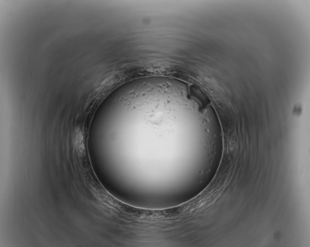 X0000099321106200805091035