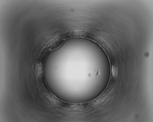 X0000099321107200805091035