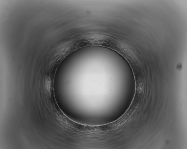 X0000099321108200805091035