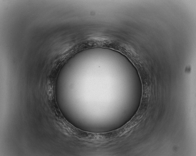 X0000099321109200805091035