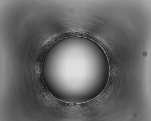 X0000099321110200805091035