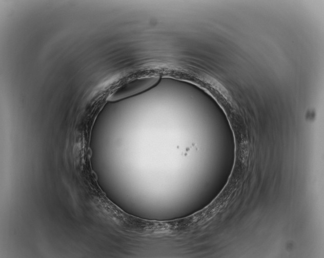 X0000099321111200805091035