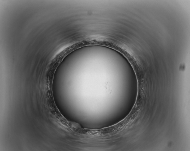 X0000099321112200805091035