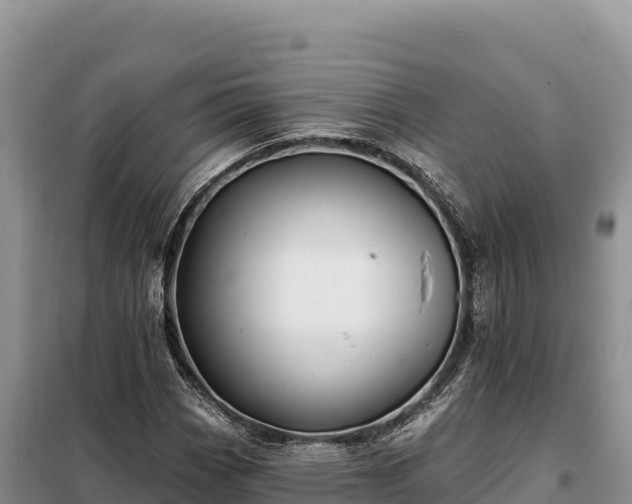 X0000099321113200805091035