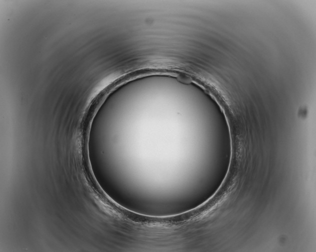 X0000099321114200805091035