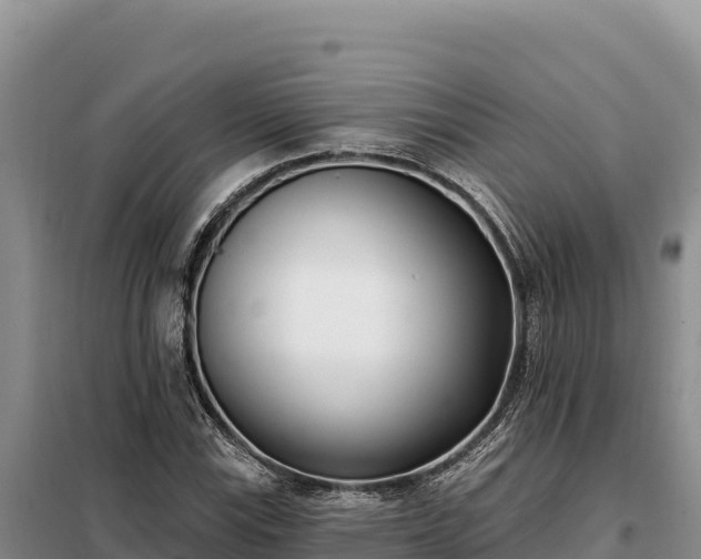 X0000099321115200805091035