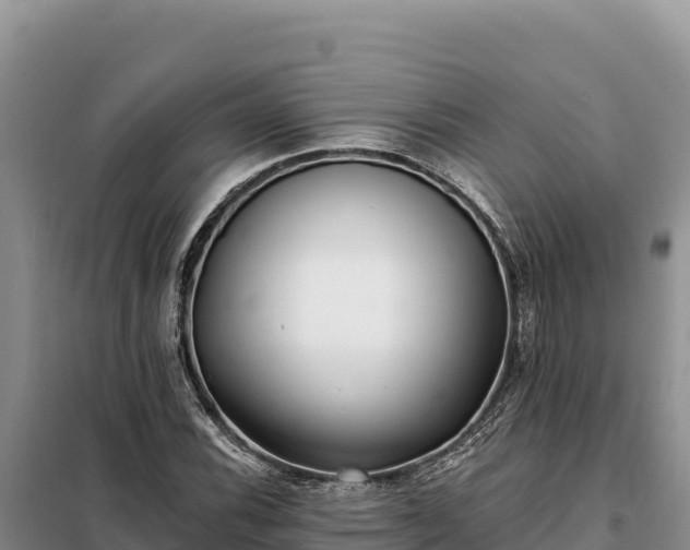 X0000099321116200805091035