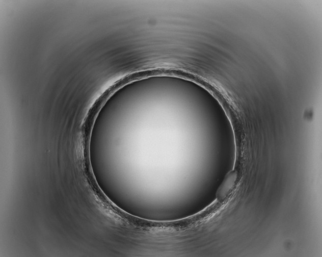 X0000099321118200805091035