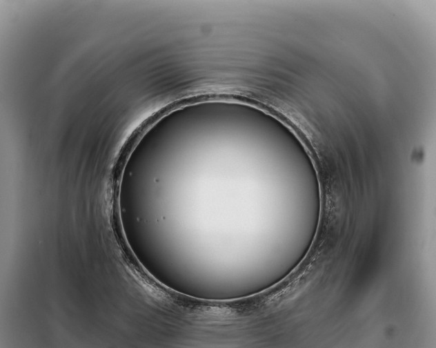 X0000099321119200805091035