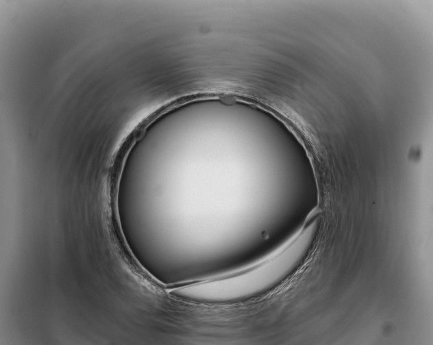 X0000099321120200805091035