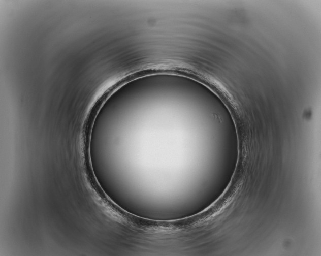 X0000099321122200805091035